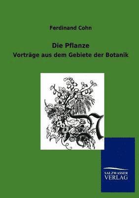 bokomslag Pflanze