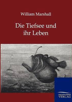 Die Tiefsee und ihr Leben 1