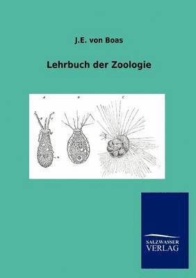 bokomslag Lehrbuch der Zoologie