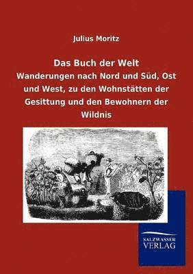 bokomslag Das Buch der Welt