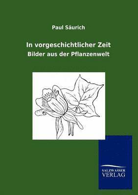 In vorgeschichtlicher Zeit