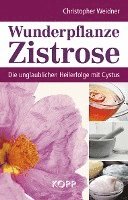 Wunderpflanze Zistrose 1