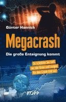 bokomslag Megacrash - Die große Enteignung kommt