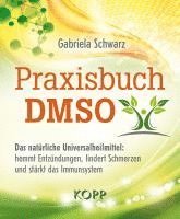 bokomslag Praxisbuch DMSO