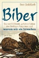 Biber 1