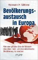 bokomslag Bevölkerungsaustausch in Europa