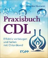 bokomslag Praxisbuch CDL