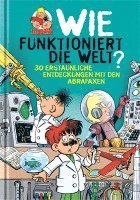 bokomslag Wie funktioniert die Welt?