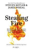 bokomslag Stealing Fire