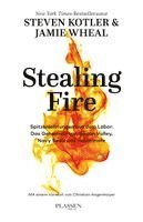 Steven Kotler, Jamie Wheal - Stealing Fire, Inbunden