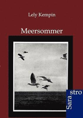 Meersommer 1