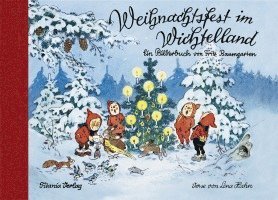 bokomslag Weihnachtsfest im Wichtelland