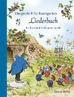 bokomslag Das große Fritz Baumgarten Liederbuch