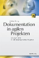 Andreas Rüping - Dokumentation in agilen Projekten, Häftad