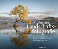 bokomslag Profiwissen Landschaftsfotografie