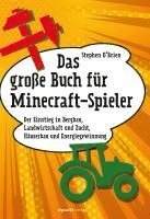 bokomslag Das große Buch für Minecraft-Spieler