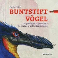 bokomslag Buntstiftvögel