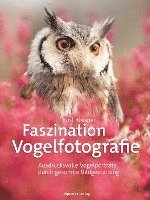 bokomslag Faszination Vogelfotografie