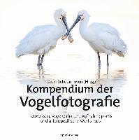 bokomslag Kompendium der Vogelfotografie