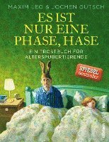 bokomslag Es ist nur eine Phase, Hase