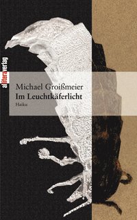 bokomslag Im Leuchtkäferlicht