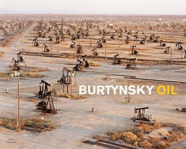 bokomslag Edward Burtynsky