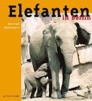 bokomslag Elefanten in Berlin