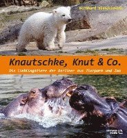bokomslag Knautschke, Knut & Co.