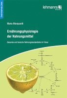 bokomslag Ernährungsphysiologie der Nahrungsmittel