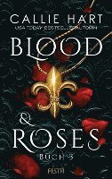 bokomslag Blood & Roses - Buch 3