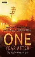 William R. Forstchen - One Year After - Die Welt ohne Strom, Häftad