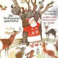 bokomslag Die Weihnachtsgeschichte