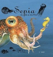 bokomslag Sepia und das grosse Meer