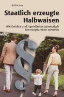 bokomslag Staatlich erzeugte Halbwaisen