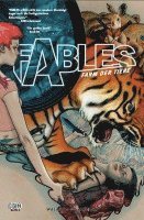 bokomslag Fables 02