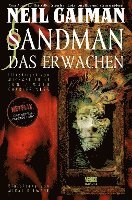 bokomslag Sandman 10 - Das Erwachen