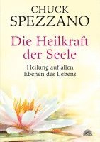 bokomslag Die Heilkraft der Seele