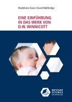 bokomslag Eine Einführung in das Werk von D. W. Winnicott