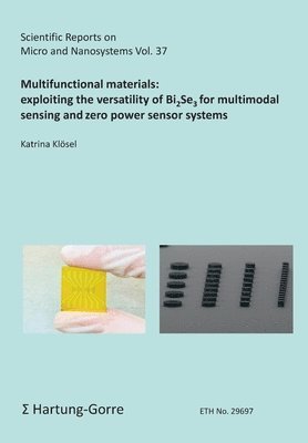 bokomslag Multifunctional materials