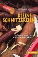 bokomslag Kleine Schnitzereien