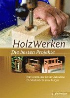 bokomslag Projektbuch HolzWerken Die besten Projekte