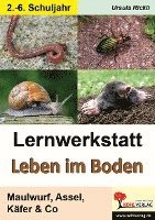 bokomslag Lernwerkstatt Leben im Boden