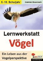 bokomslag Lernwerkstatt Vögel Ein Leben aus der Vogelperspektive