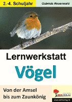 bokomslag Lernwerkstatt Vögel Von der Amsel bis zum Zaunkönig