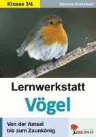 Gabriela Rosenwald - Lernwerkstatt Vögel Von der Amsel bis zum Zaunkönig, Häftad