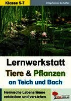 Stephanie Schäfer - Tiere & Pflanzen an Teich und Bach, Häftad