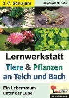 bokomslag Tiere & Pflanzen an Teich und Bach