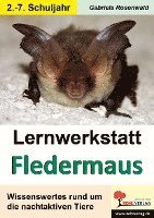 bokomslag Lernwerkstatt Die Fledermaus