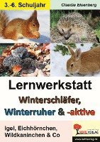 bokomslag Winterschläfer, Winterruher & -aktive Igel, Eichhörnchen, Wildkaninchen & Co.