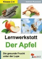 Lernwerkstatt Der Apfel